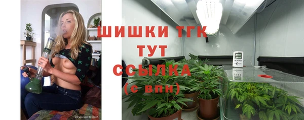 эйфоретик Новокубанск