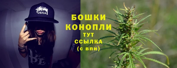 spice Новозыбков