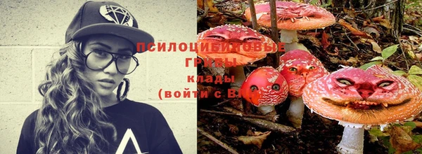 эйфоретик Новокубанск