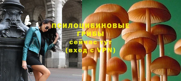 эйфоретик Новокубанск