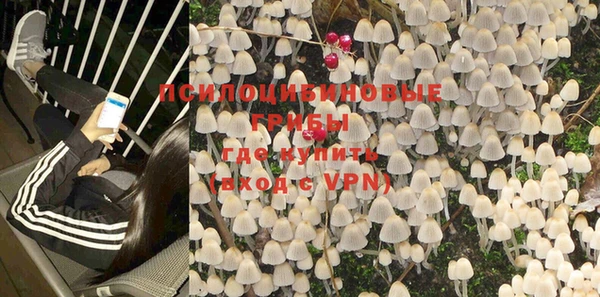 первитин Новодвинск