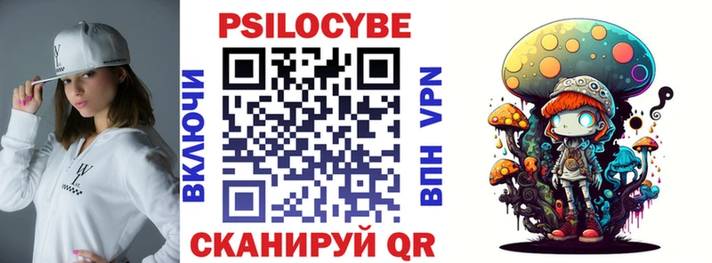 где купить наркоту Петровск-Забайкальский Псилоцибиновые грибы мицелий